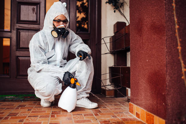 Reliable Bed Bug Control contractor in San Francisco, CA by Nex Pest Control