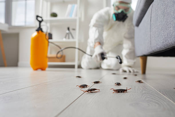 Trusted Bed Bug Control service in San Francisco, CA - Nex Pest Control