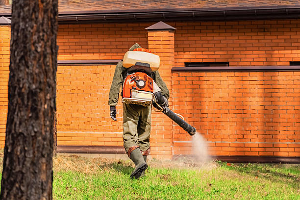 Trusted Mosquito Control service in San Francisco, CA - Nex Pest Control
